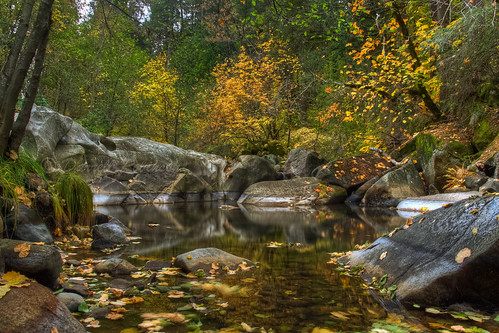 california autumn foothills fall water creek canon sigma nevadacity deercreek nevadacounty sierranevadafoothills canoneos50d sigma1770mmf2845dcmacrolens zeikoscpl