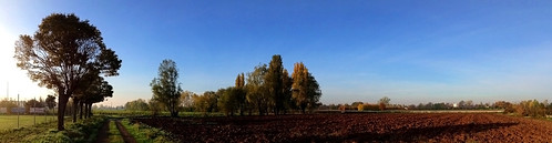 autumn trees italy alberi landscapes countryside italia view campagna vista terra autunno brescia lombardia paesaggio lombardy naturemasterclass djjonatan74