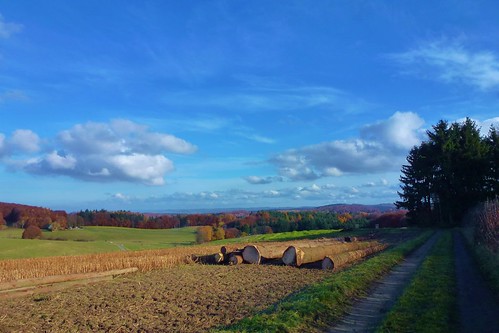 autumn landscape herbst landschaft sunnyday wanderung odenwald neutsch ivlys