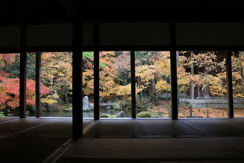 Autumn Renge-ji 蓮華寺