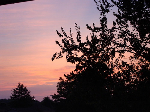 lumberton nc northcarolina robesoncounty walnutmanorapartments sky morning sunrise colors tree trees silhouette clouds weather