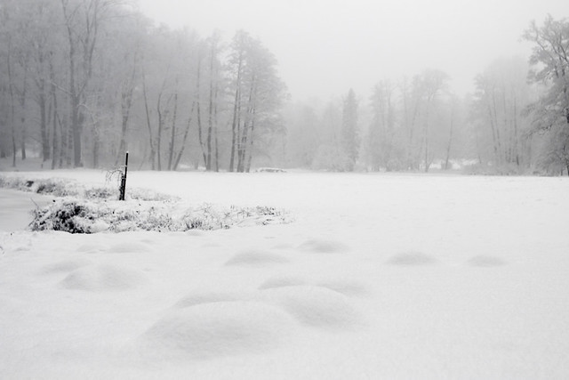 Snow in Goluchow Park