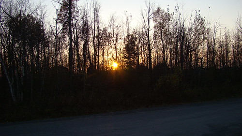 soleil forêt bois boisé automne sun paysage nature drummondville coucherdesoleil sentier