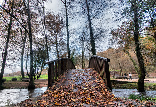 wood rio puente hojas madera autum ponte otoño pontevedra brigde robles carballos barosa fervenzas fervenzasdobarosa cascadasdebarosa caldadereyes