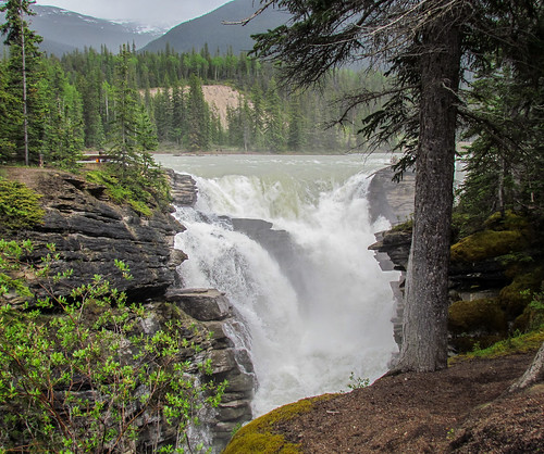 canada waterfall alberta rockymountains jaspernationalpark athabascafalls
