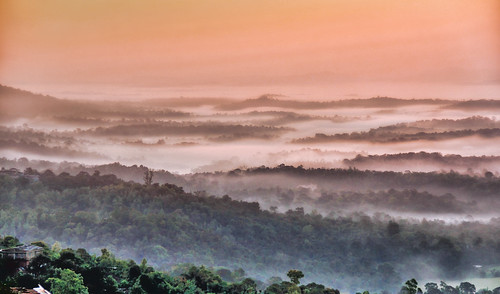 morning beautiful fog sunrise landscape