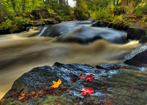 marathoncounty wisconsin hogarty hogartywisconsin usa midwest flowingwater eauclaireriver america canon digital 1740l river autumn fall scenery scenic waterfall outdoor rocks color colour canon6d geotagged wisconsinwaterfalls northcountry countypark marathoncountypark water leaves northamerica picturesque naturalarea cascades colorful