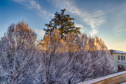 christmas blue winter italy sun snow sunrise italia december dramatic lombardia lombardy lebanoncedar cassolnovo