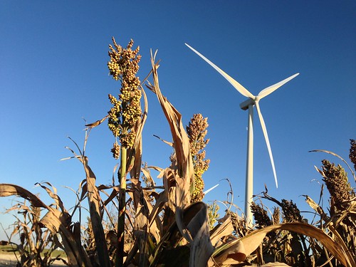 usa energy power farm crop concordia kansas sorghum crops powerplant agriculture turbine windturbine photostream renewableenergy vestas v90 edprenewables edpr edprn