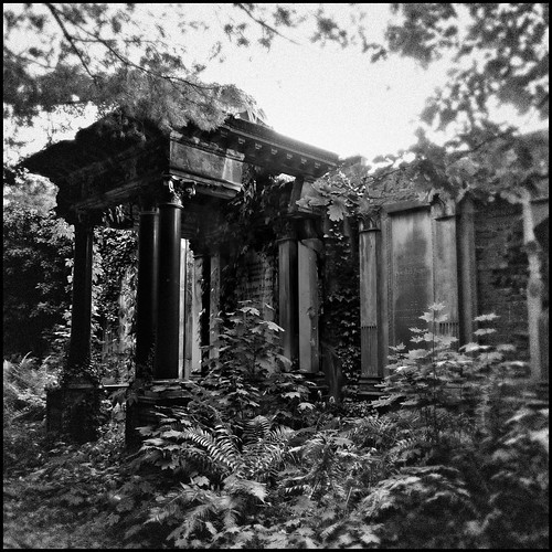 bw white black abandoned overgrown cemetery grave graveyard mystery museum time tomb poland polska forgotten forsaken decayed overgrowth cmentarz wrocław grób grobowiec blackwhitephotos