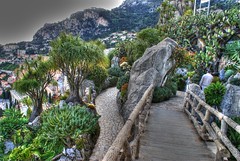 Jardin Exotice de Monaco