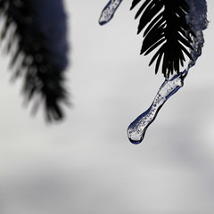 freeze-thaw - Photo of Arbent