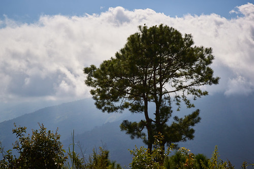 myanmar burma asia chin tree clouds hills landscape