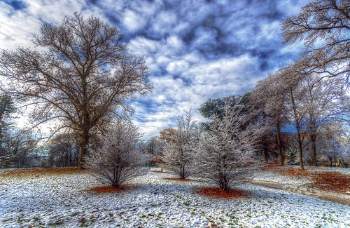 milano milan winter inverno parco sempione landscape panorama tree alberi snow neve hdr filippo filippobianchi d7000 nikon sigma1020