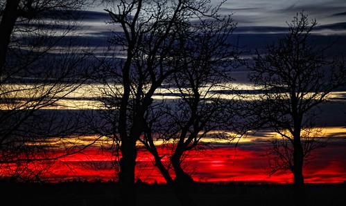 trees sunset red sky tree rot silhouette sonnenuntergang himmel rosso bäume baum 2012 pastell michau sigma18250 canoneos60d froschkönigphotos ichbremseauchfürsonnenuntergänge