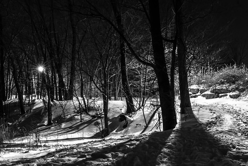 winter light bw snow tree monochrome canon dark eos star path trail 7d passage 2470lii