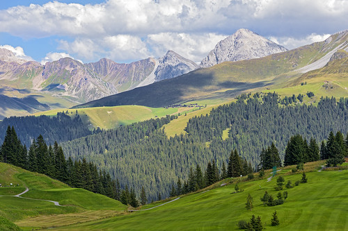 landscape view scenery grass trees mountains sky clouds arosa nikon d4 cloudy day switzerland
