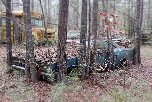 auto old blue trees copyright classic car vintage trapped junk rust automobile december ar antique satellite © plymouth retro arkansas junkyard 1970 surrounded barkada allrightsreserved musclecar 2012 drewcounty wilmar unauthorizedusestrictlyprohibited allcommercialuseprohibited