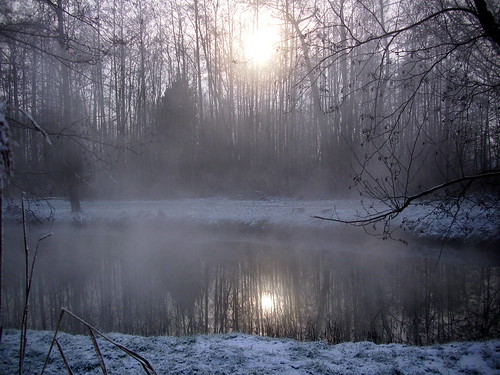 winter mist fog nebel barmstedt buchstabenfotogruppe