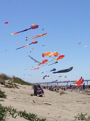 Kite Day in New Brighton