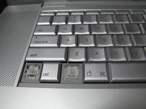 keyboard after parrot