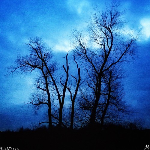 blue sky cloud storm tree nature weather solitude alone solidarity lone grandrapids iphone blogrodent richtatum iphoneography flickriosapp:filter=nofilter uploaded:by=flickrmobilegrandrapidsmichiganunitedstates