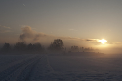 schnee winter snow day nebel tag rheinland alfter ruleofthird morgenstunde