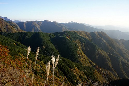mountain japan autumnleaves 紅葉 山 奈良 大台ケ原