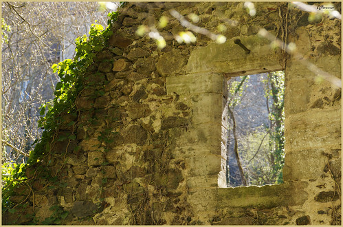 fenêtre mur vieillespierres pignon