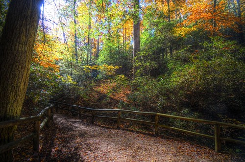 fall nature woods kentucky fallcolors hike trail naturalbridgestatepark powellcounty