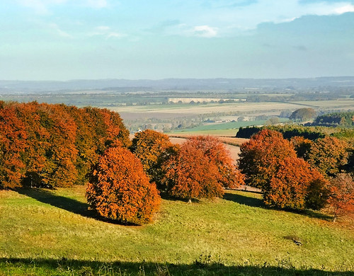 autumn trees england colour tree fall nationalpark october day hampshire winchester southdowns 2012 southdownsway cheesefoothead southdownsnationalpark mattersleybowl pwfall pwpartlycloudy