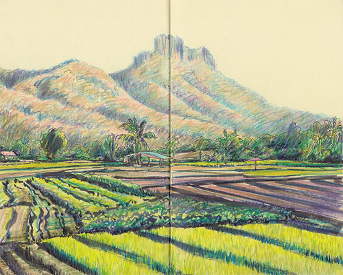 mountain moleskine landscape thailand rice drawing sketchbook