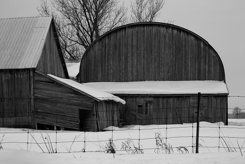 old winter bw ontario buildings landscape barns wintertime farmscape