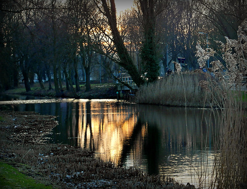 trees sunset nature water reflections canal alkmaar