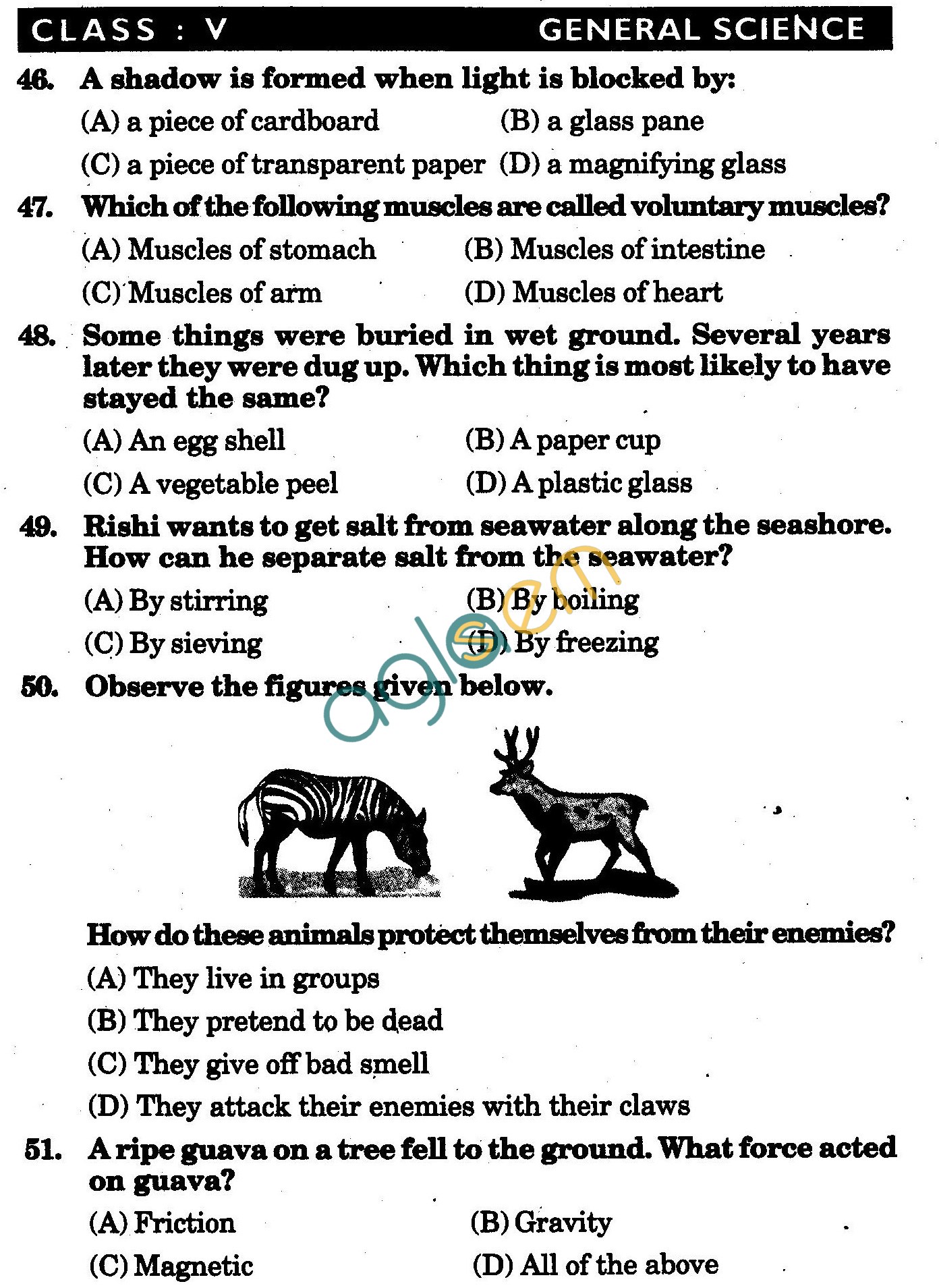 NSTSE 2010 Class V Question Paper with Answers - Science