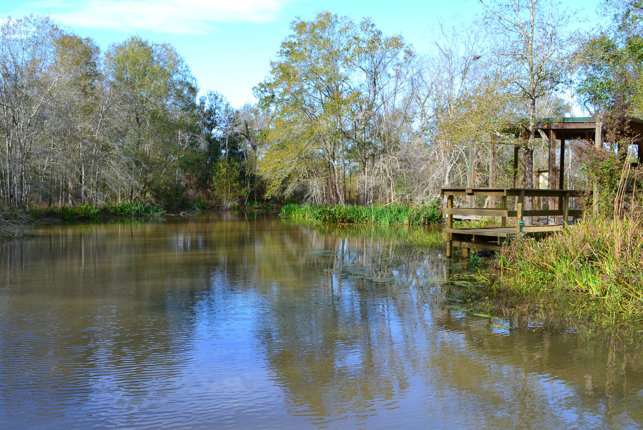 Armand Bayou Nature Center, Pasadena, Texas 1212201351 | Flickr - Photo ...