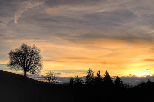 blue winter sunset sky orange tree yellow night clouds schweiz switzerland cloudy gray hdr langnau emmental dorfberg langnauie