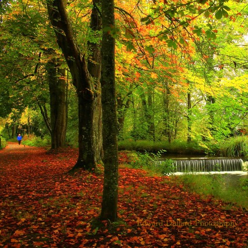 autumn kilkenny ireland fall nature automne landscape waterfall autunna otone