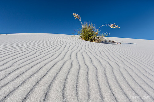 newmexico sand unitedstates whitesands dune gypsum whiteeye tularosa