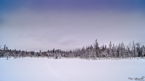 winter snow cold landscape