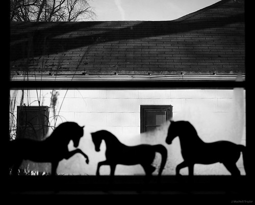 horses blackandwhite horse house 3 window silhouette january 365 day3 breyer gypsymarestudios jmacneilltraylor 2013365photos
