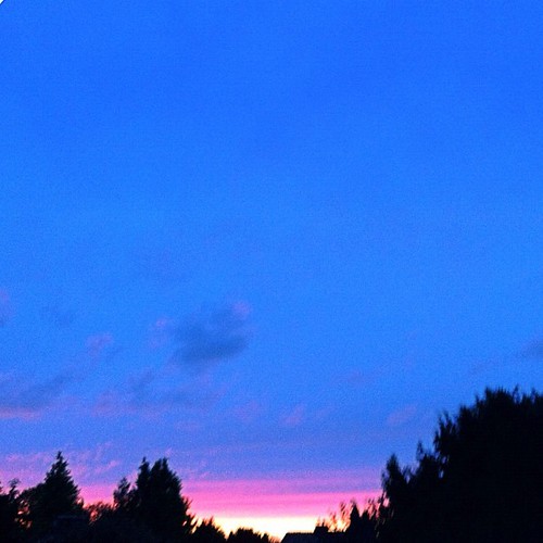 sunrise natur detmold uploaded:by=flickstagram instagram:photo=3024984015597166584061479