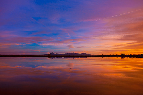 california sunset water field reflections rice centralvalley sacramentovalley