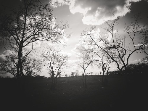 white black vintage project landscape ian freedom countryside noir remote washed adventures henley arusha 4s iphone ianography uploaded:by=flickrmobile flickriosapp:filter=nofilter treestalker