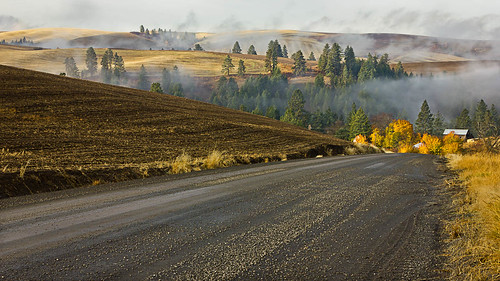 road trees usa green fog canon landscape fallcolor northwest idaho 2012 550d t2i landscapephotograph