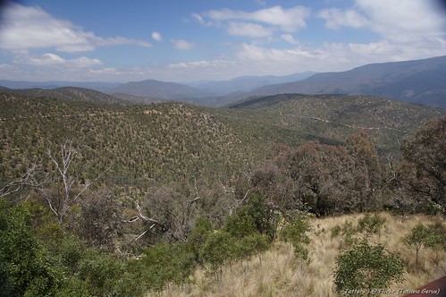 mountains view australia lookout kosciuszkotrip