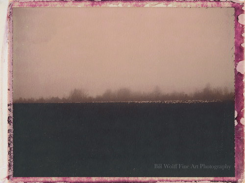 trees water fog landscape polaroid january delaware polaroid250 2013 polaroidchocolate impossibleproject