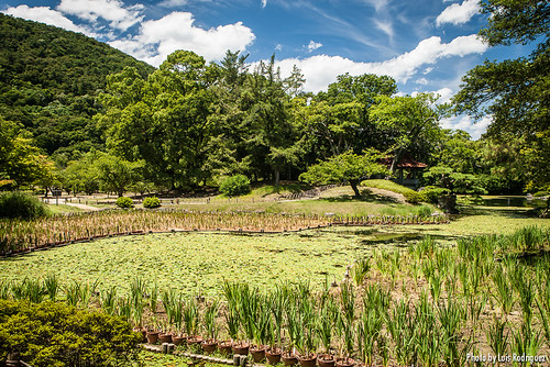 asia takamatsu japón 栗林公園 ritsurinkōen parqueritsurin jardinesritsurin