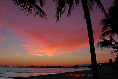 morning trees colour clouds strand sunrise palms dawn townsville