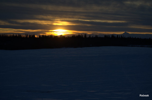 trees sun snow field silhouette clouds sunrise nikon naturesfinest rebeak mygearandme nikond5100